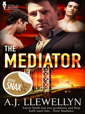 The Mediator by A.J. Llewellyn